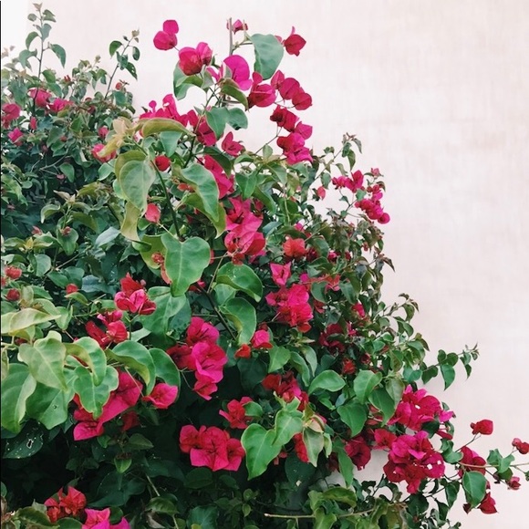 Meet your Posher - Picture 1 of 1